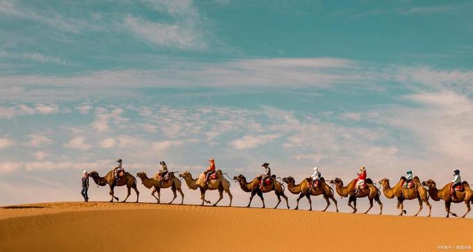 丝路法缘,护航西行 d439b6003af33a87382b(8375961)-20251010081348